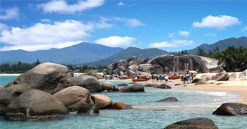 Black Airplane 黑潮饮品