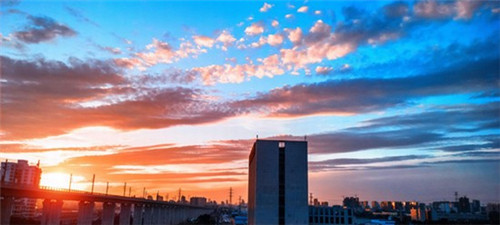 杨记跷脚牛肉面