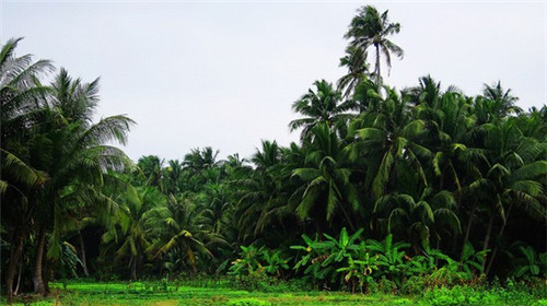 老人头汽车美容c