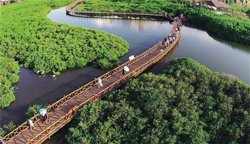 魔域手游神四森罗怎么打（魔域手游神副本攻略）