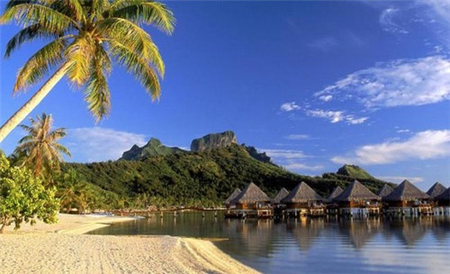 草鱼头怎么处理比较好吃（草鱼头怎么处理比较好吃窍门）