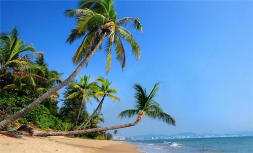 儿童毕业季用什么歌（适合小孩毕业季的歌曲）